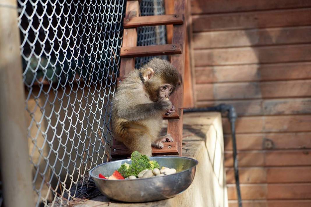 Otobüsle gönderilen koliyi kimse almayınca şoke eden gerçek ortaya çıktı! Hiç kimse bu kadar absürtlüğü tahmin edemezdi 19
